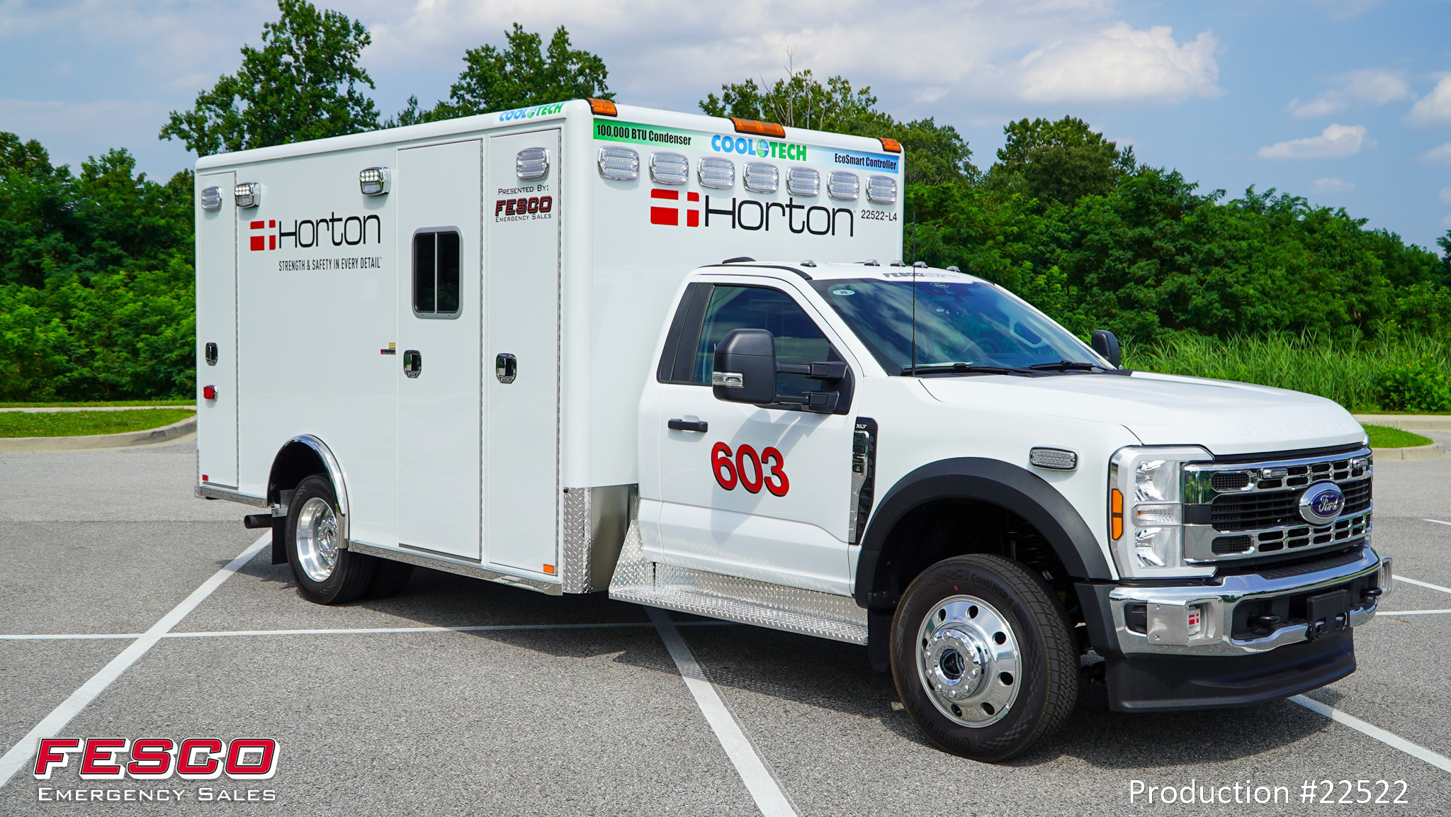 FESCO-Demo-22522-19 Stock Units